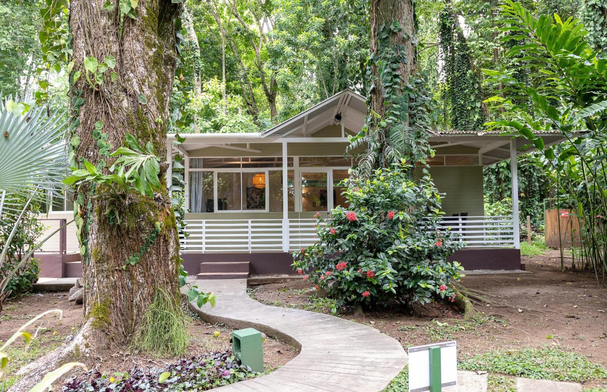Jaguar Inn Bungalows Puerto Viejo de Talamanca Exterior foto