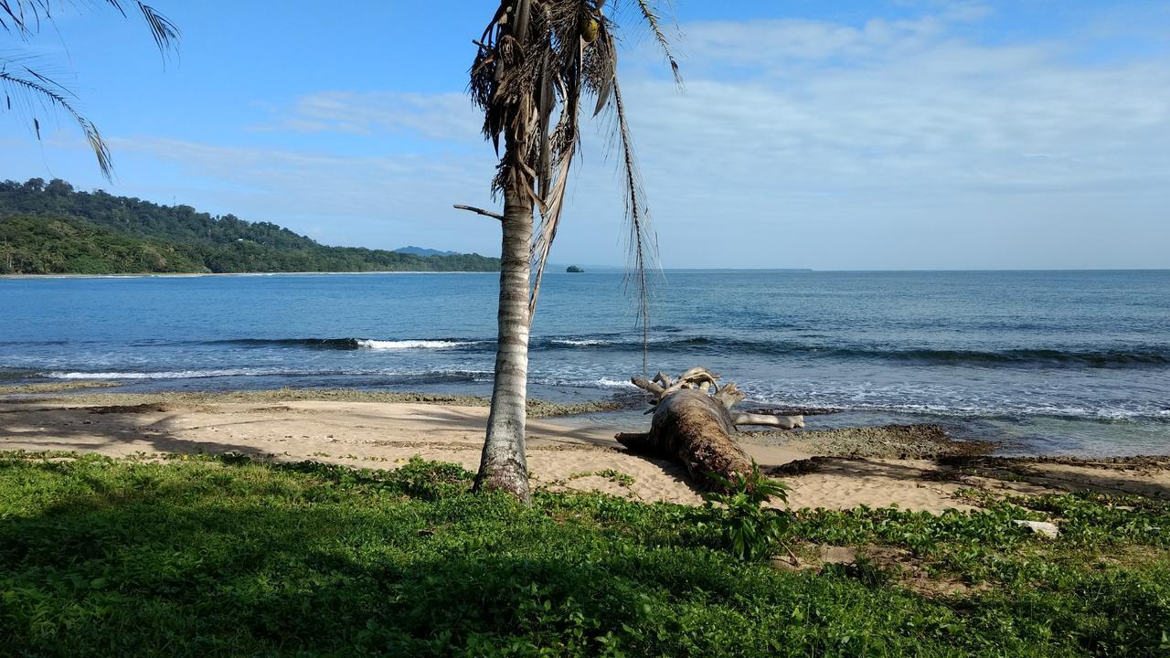 Jaguar Inn Bungalows Puerto Viejo de Talamanca Exterior foto